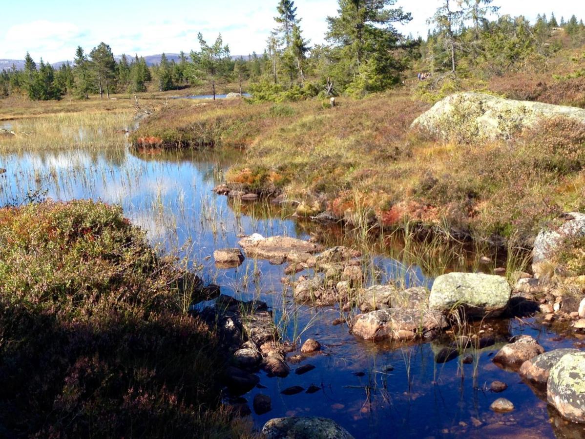 Blefjell Lodge Lampeland ภายนอก รูปภาพ